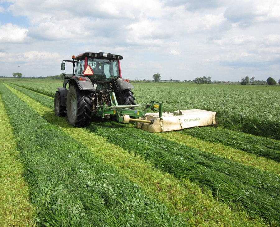 Barenbrug uzytki zielone 2.jpg